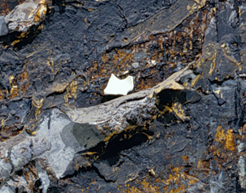 Burning Rods Detail 2 OOTD