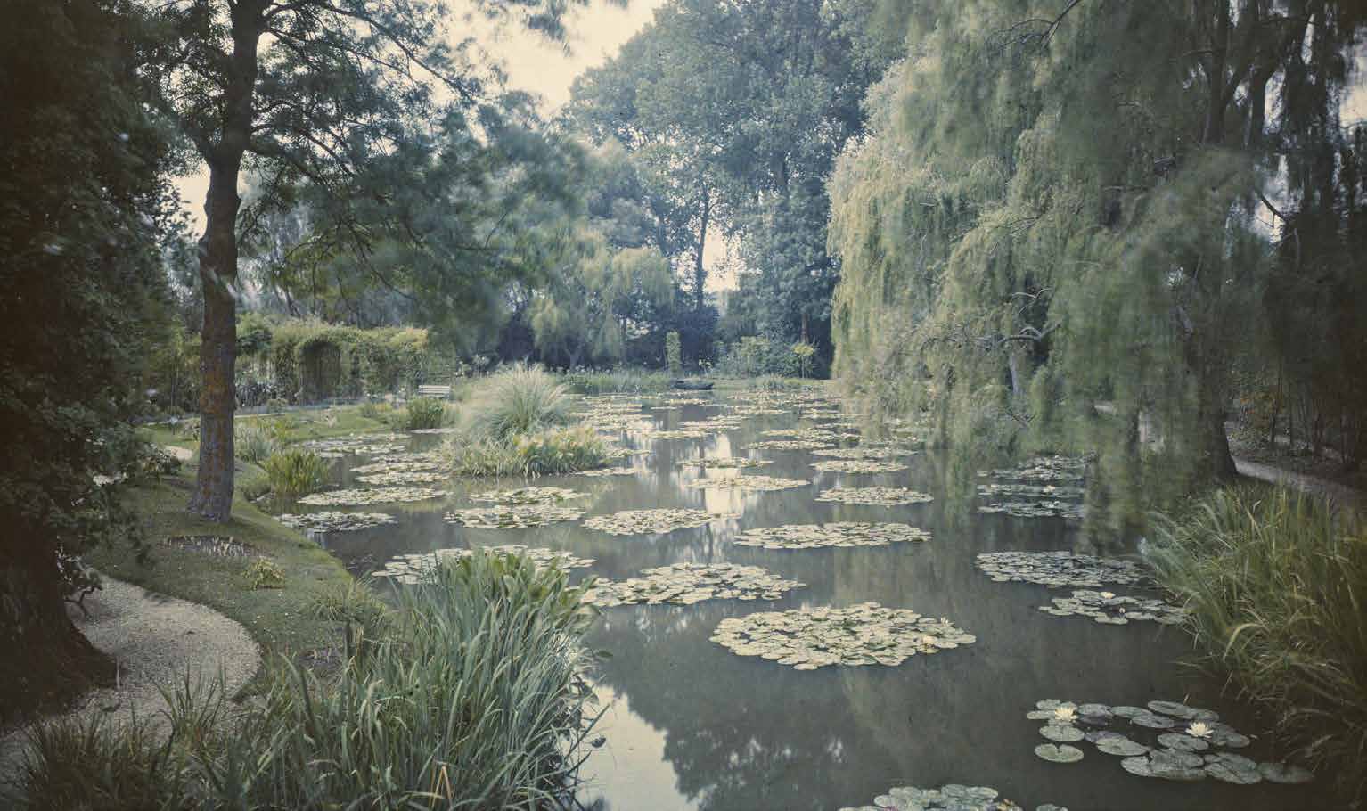 Waterlily pond at Giverny, 1921