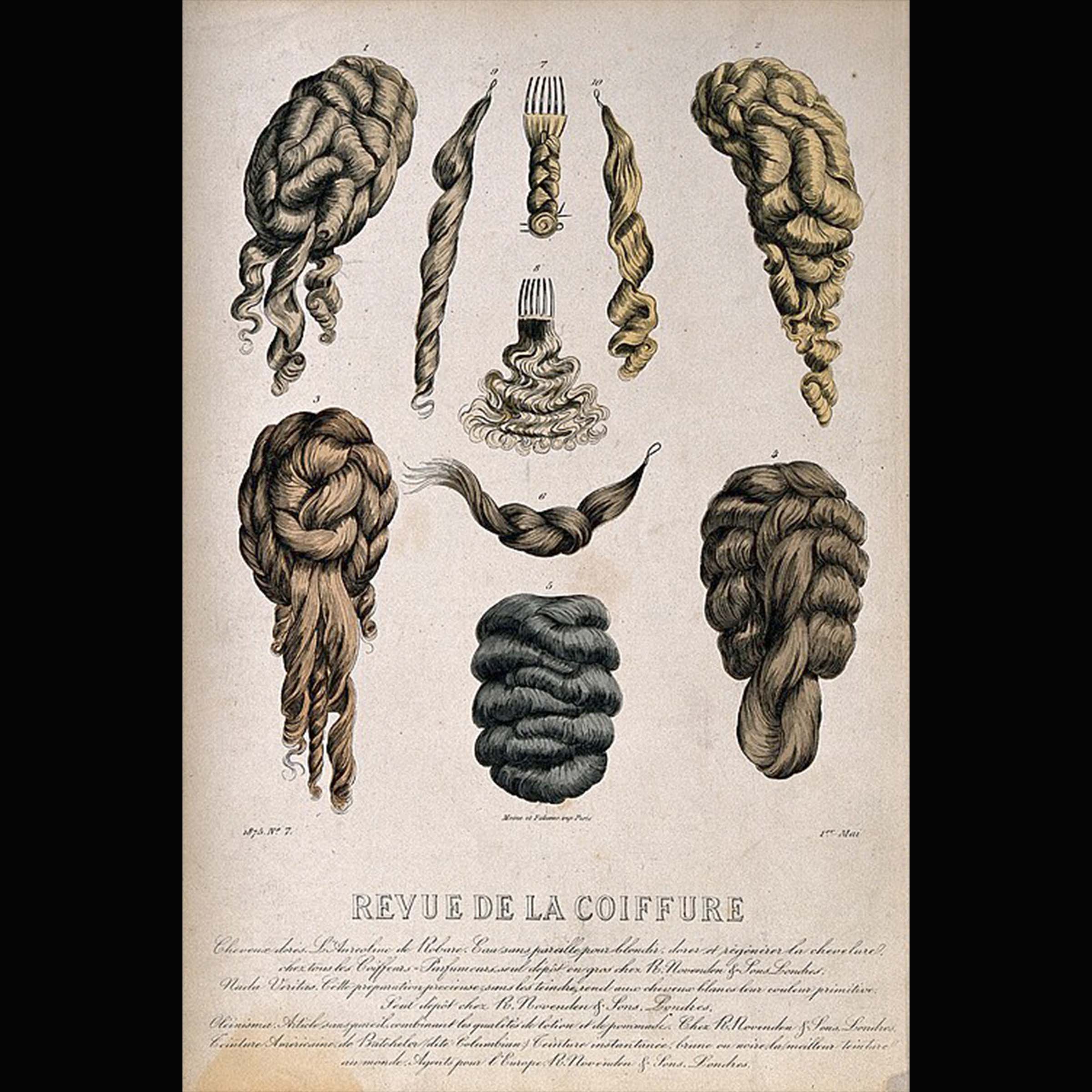 A publication illustrating several 19th-century hairstyles.