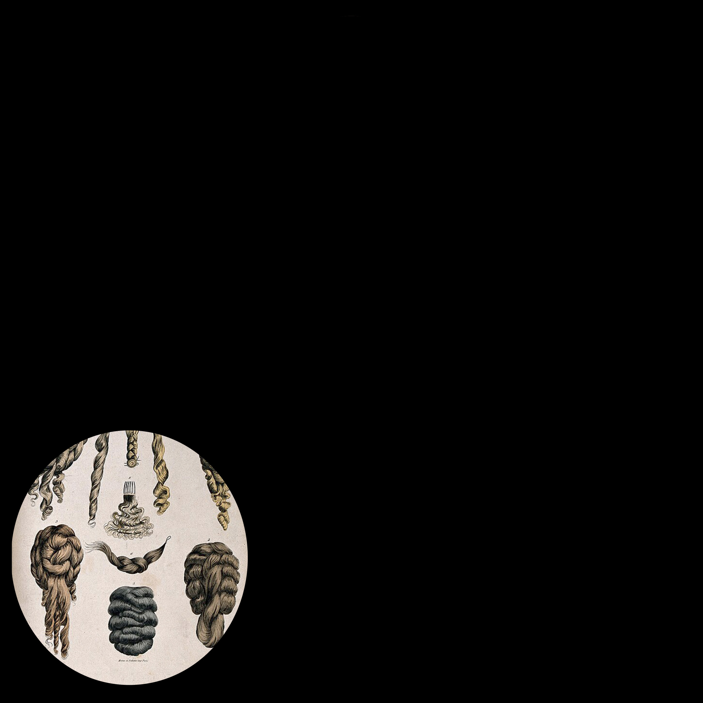 Oval crop of a publication illustrating several 19th-century hairstyles, with a black background.