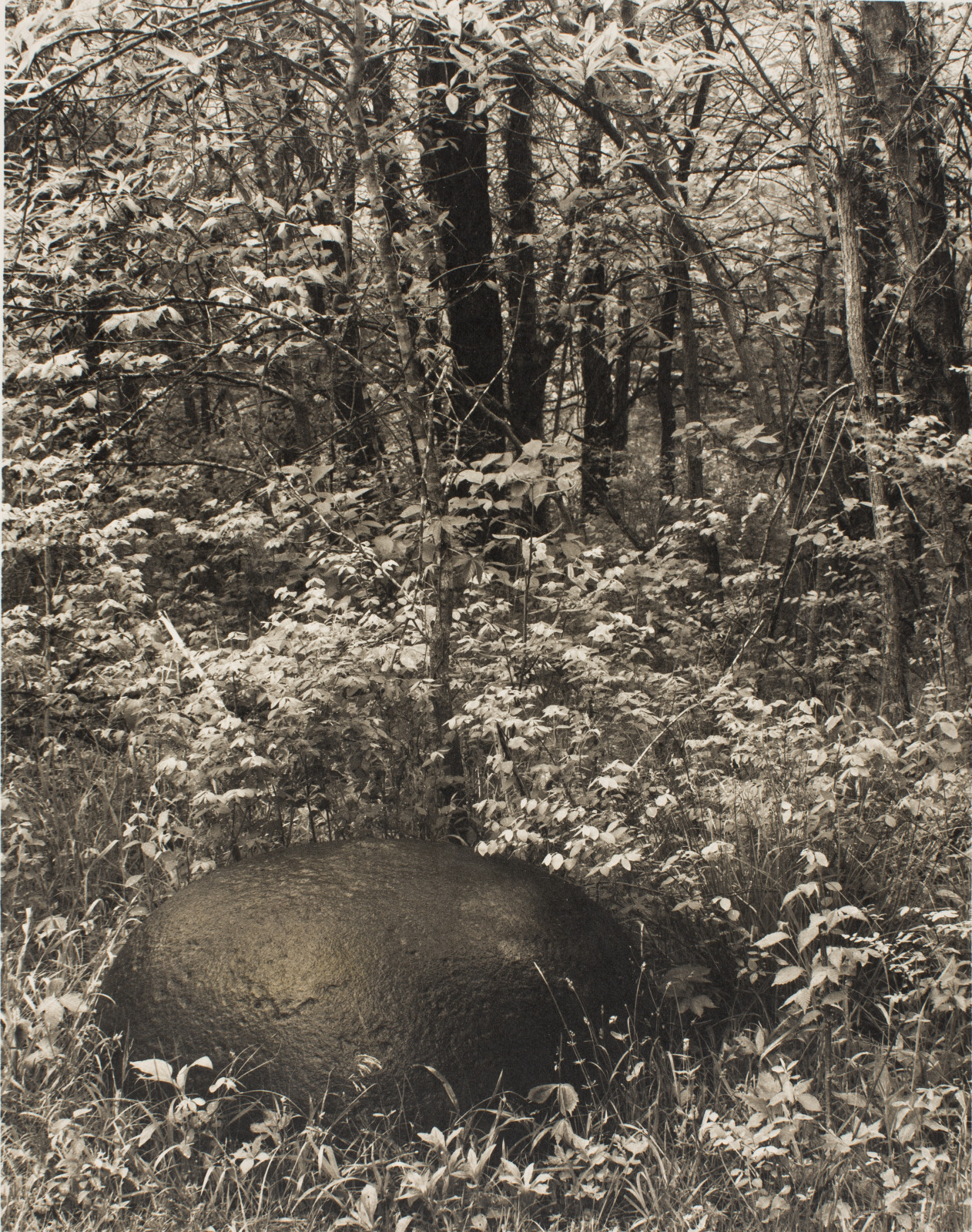 Salt Spring Boonslick Boone's Lick, Missouri (Salt Kettle) - Saint Louis Art Museum