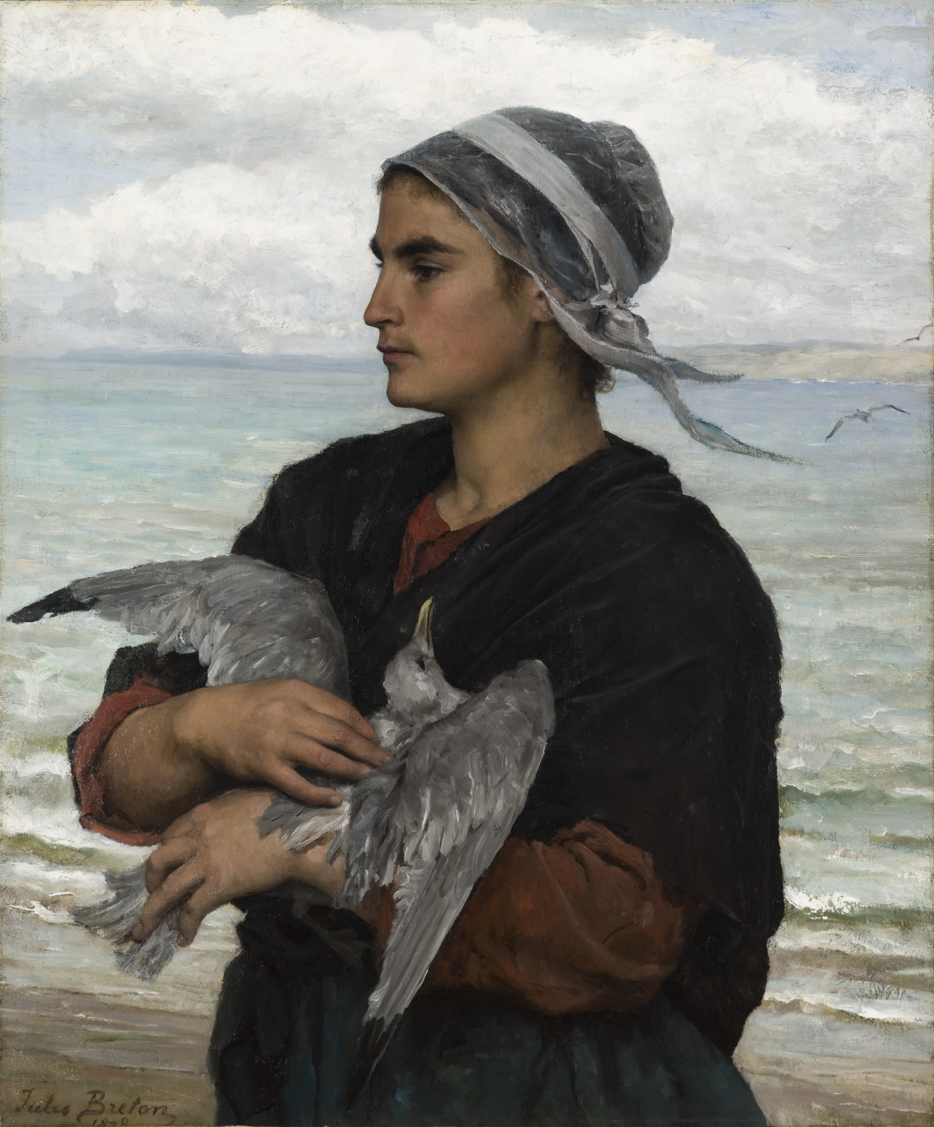 The Wounded Seagull