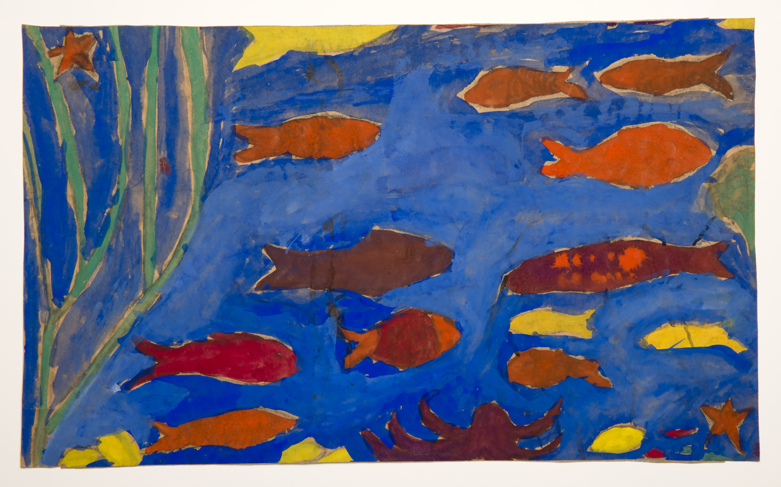 Aquarium