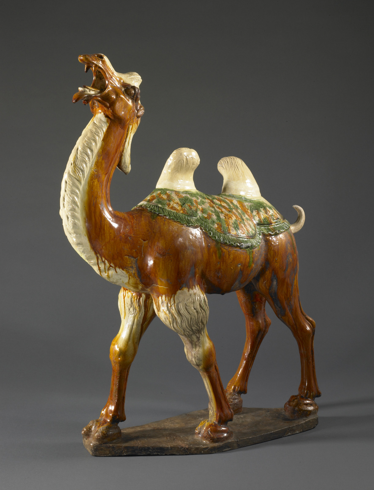 Bactrian Camel