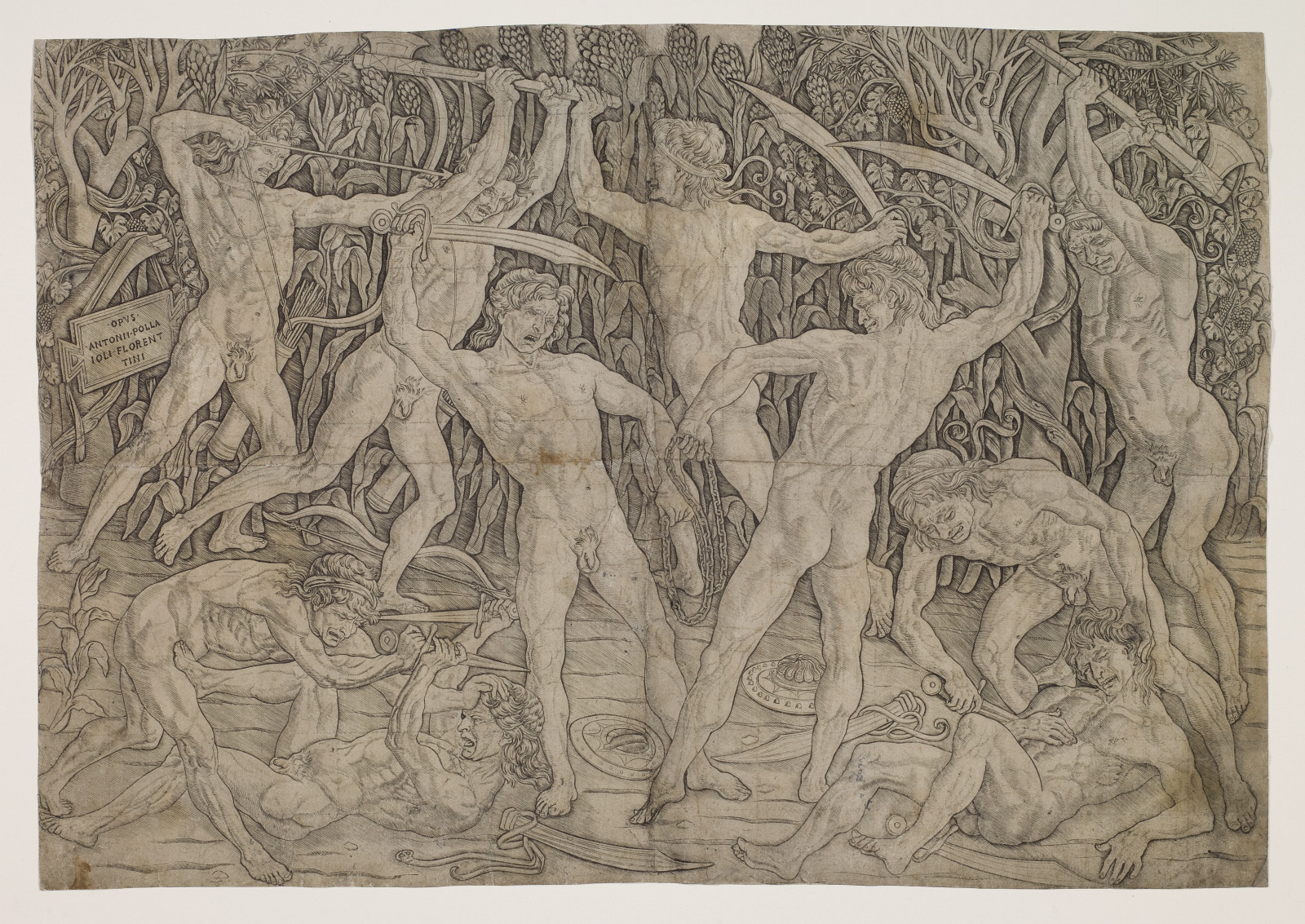 Battle of the Nudes - Saint Louis Art Museum