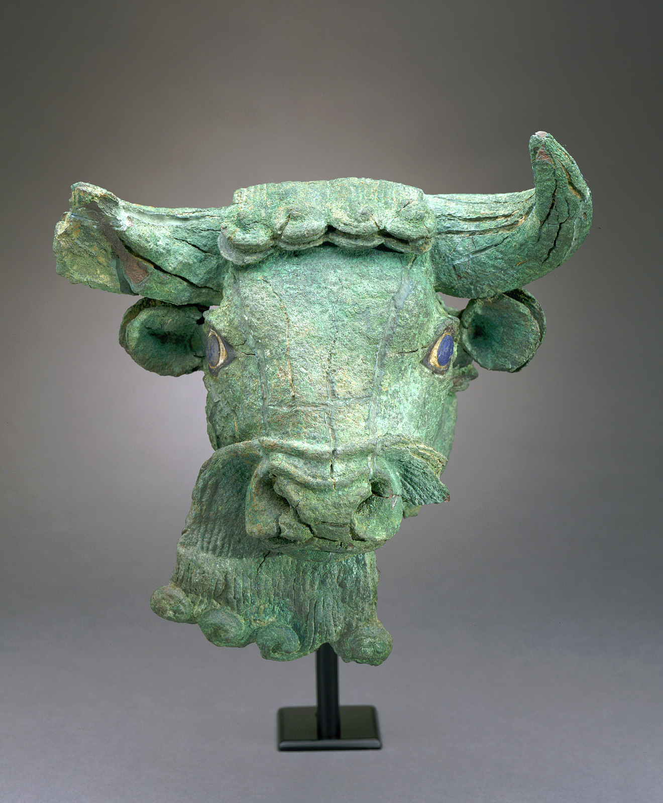 Bearded Bull’s Head