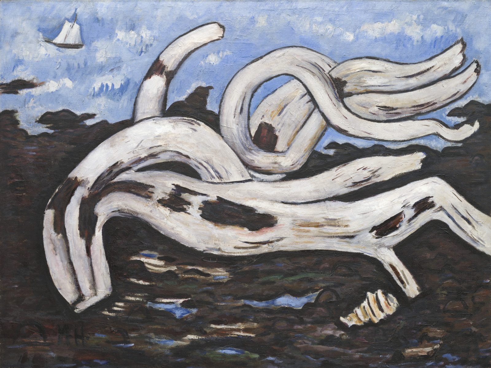 Driftwood on the Bagaduce