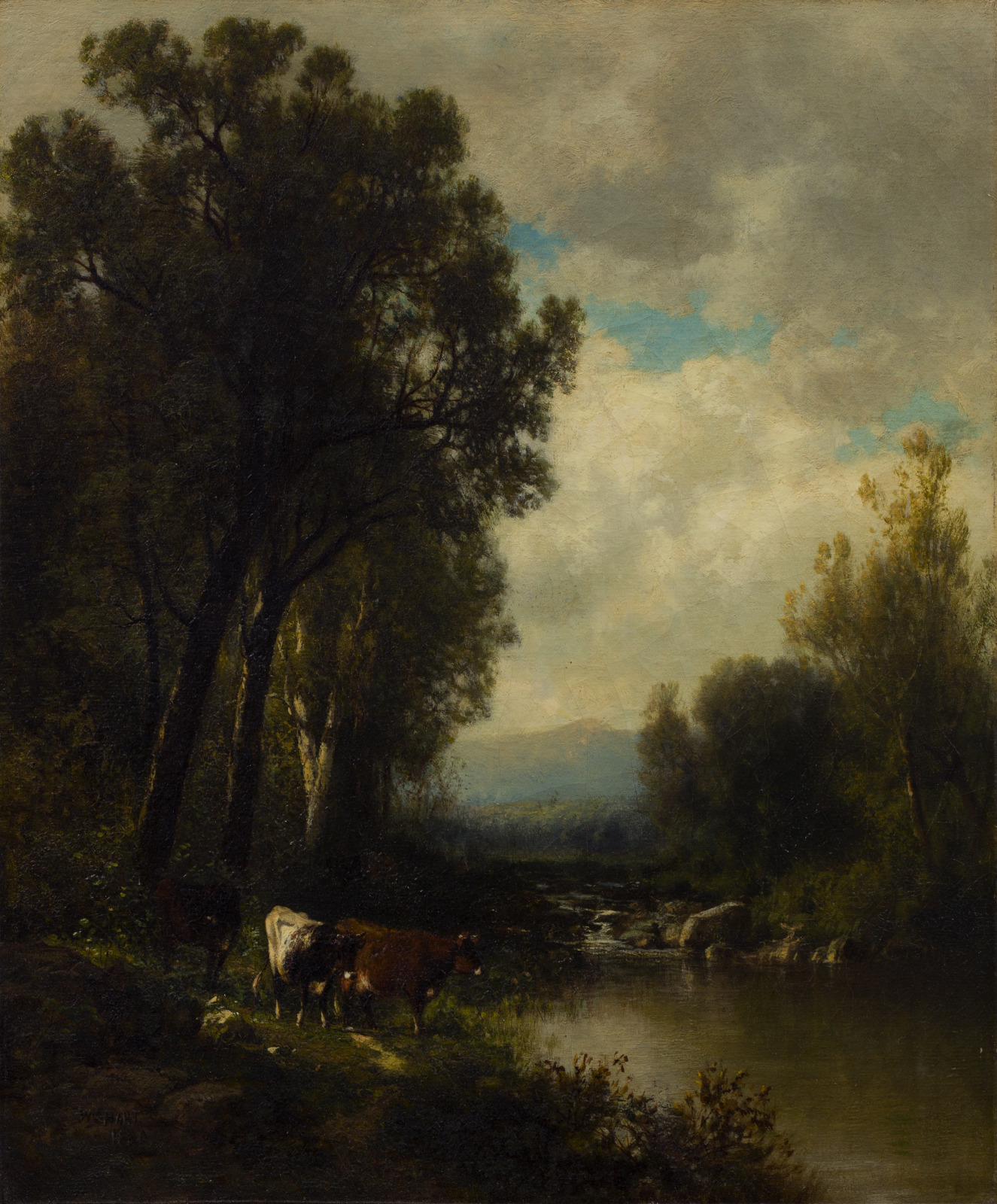 Cattle on the River
