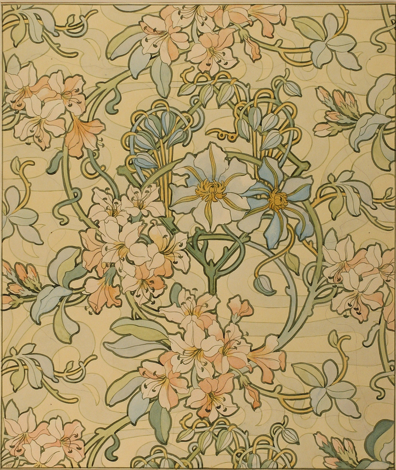 Clematis