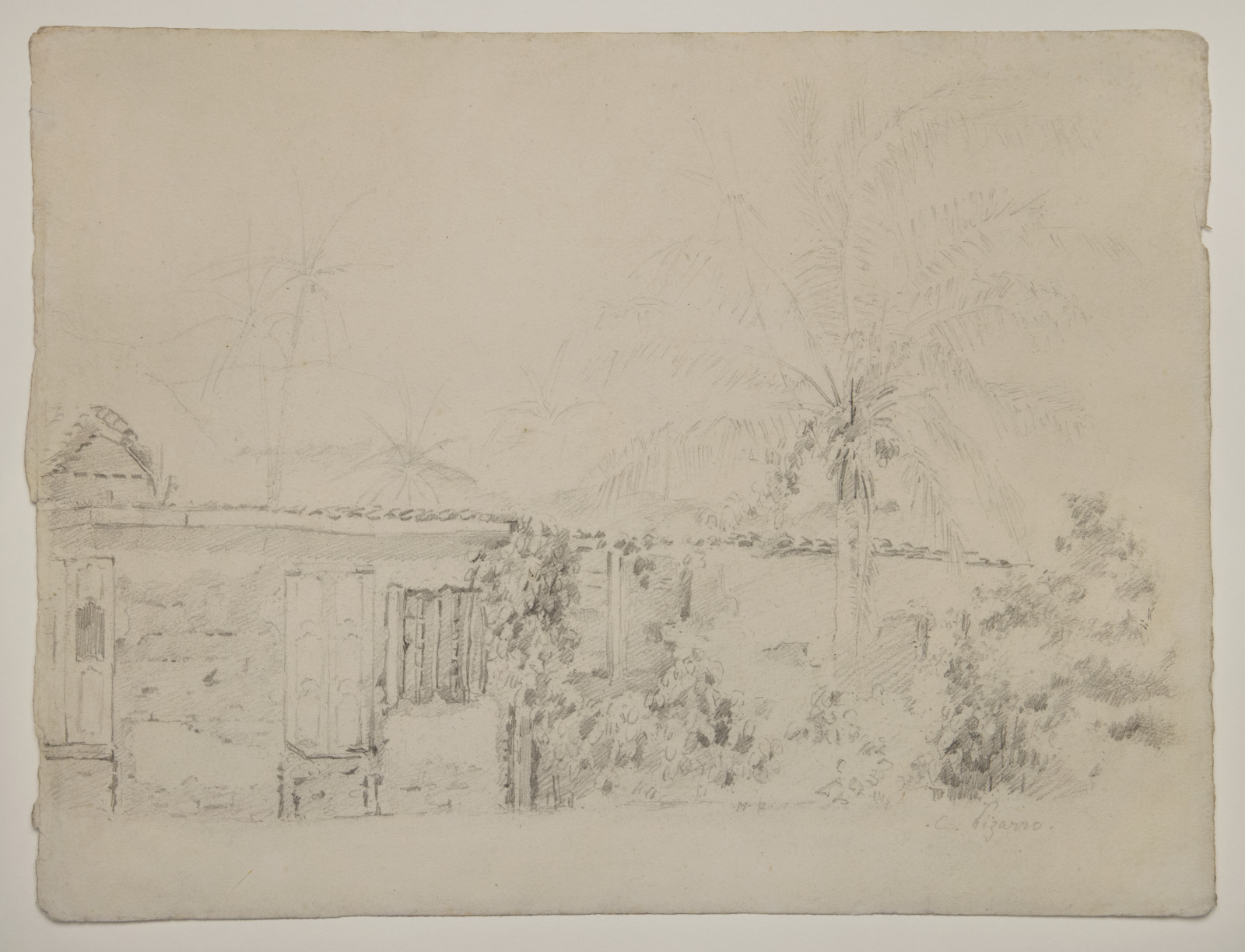 Houses and Palm Trees