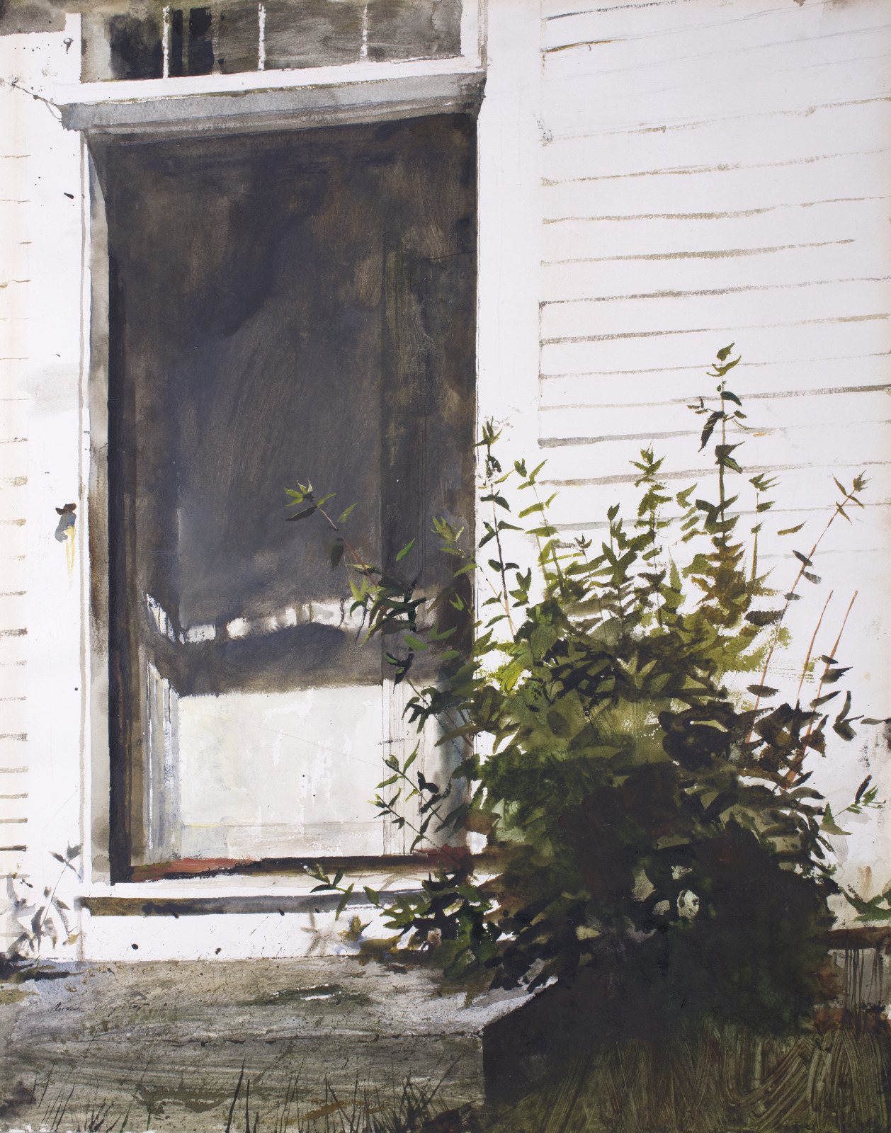 Open Door - Saint Louis Art Museum
